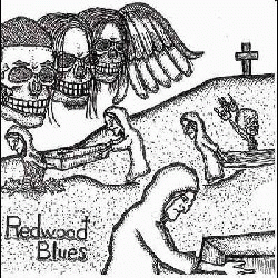 Redwood Blues : Demo 1